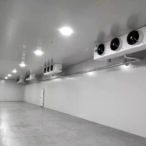 Commercial cold room Project