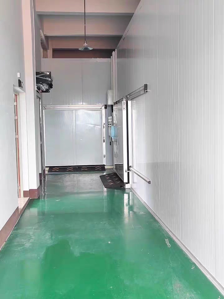Fish and sea food cold storage room 